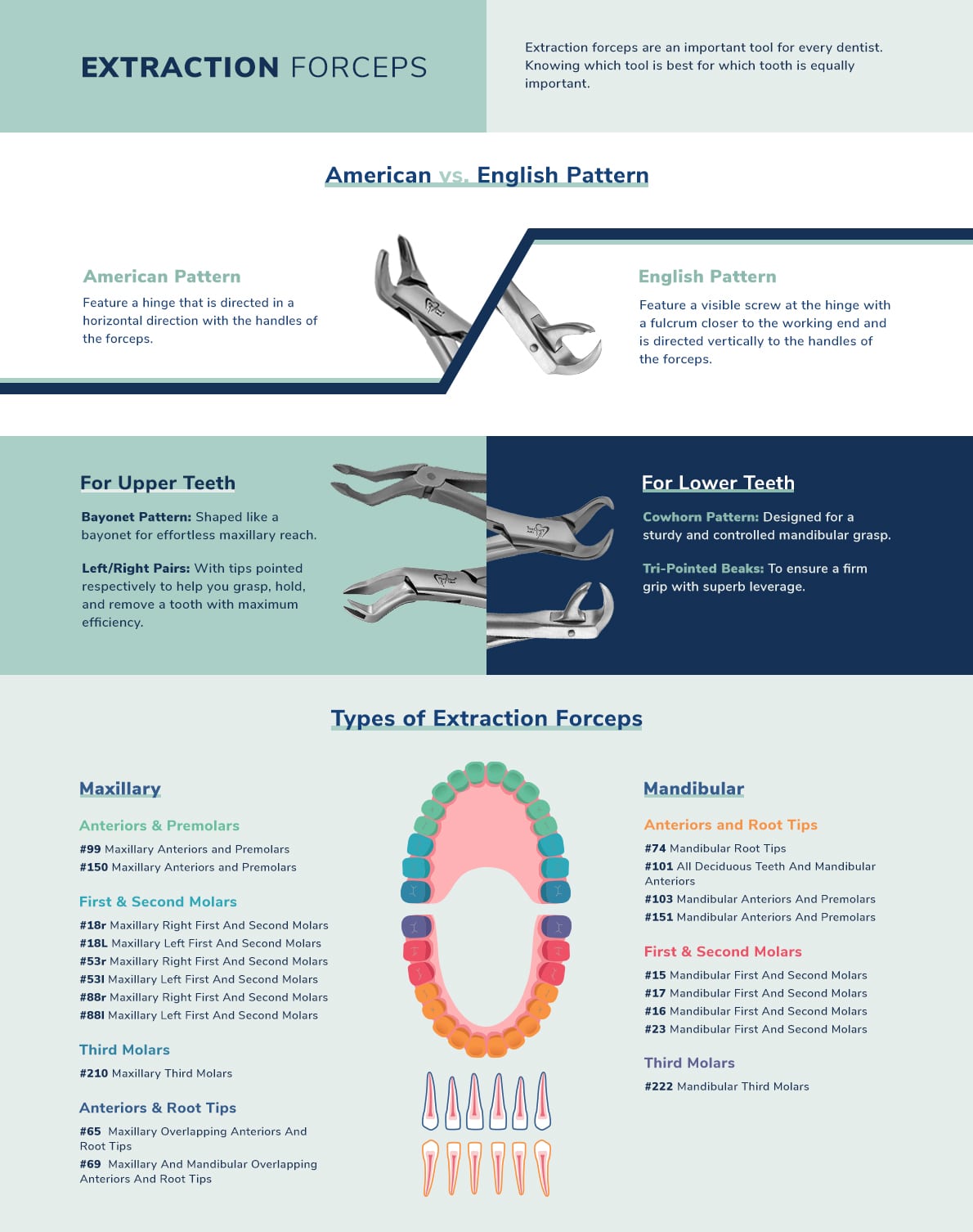 Extraction Forcep Guide: Types of Forceps and Their Uses
