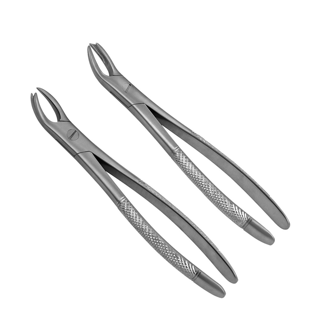 two steel extraction forceps for dental surgeries