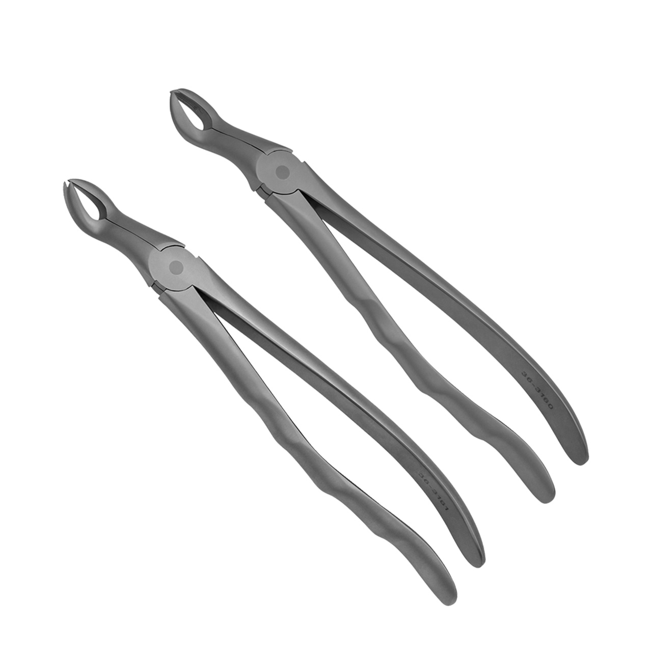 two tooth extraction pliers for dental work
