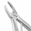 a close up of a pair of dental forceps on a white background