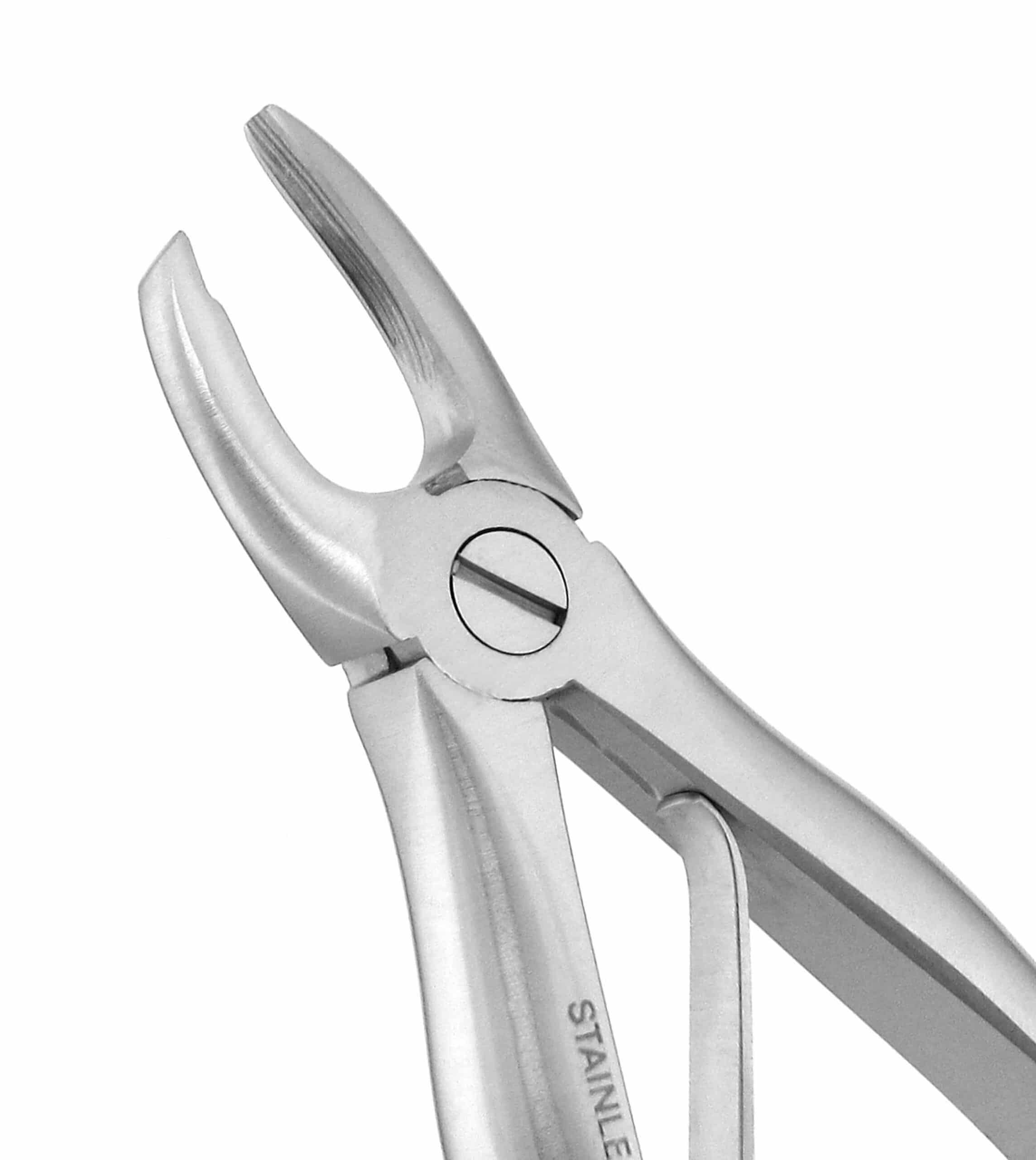 a close up of a pair of dental forceps on a white background
