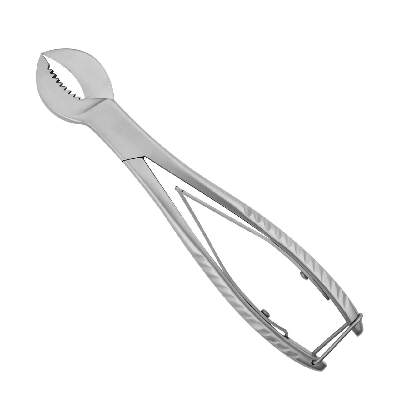 double-spring-plaster-nipper