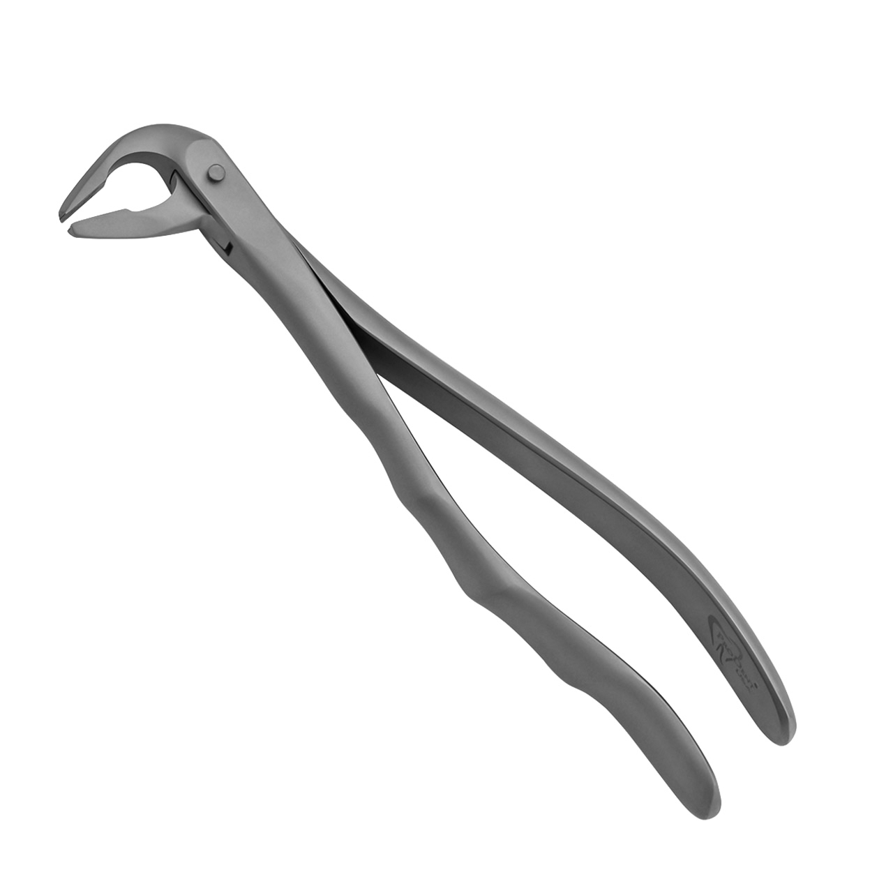 a pair of dental forceps on a white background