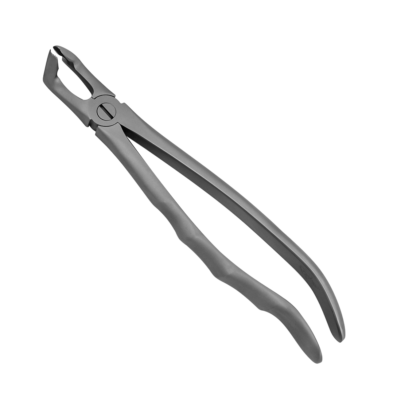 a pair of universal dental lower extraction forceps