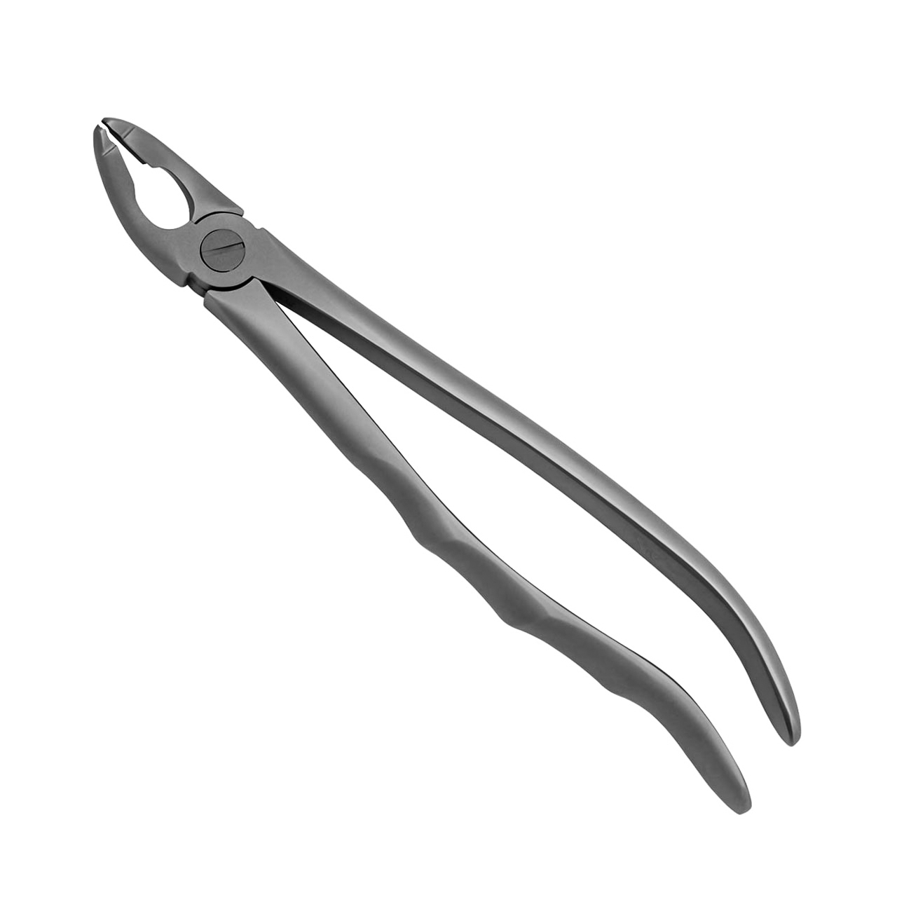 a pair of dental forceps on a white background
