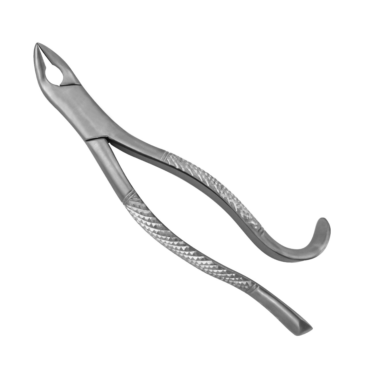a pair of dental forceps on a white background