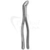 a pair of dental forceps on a white background