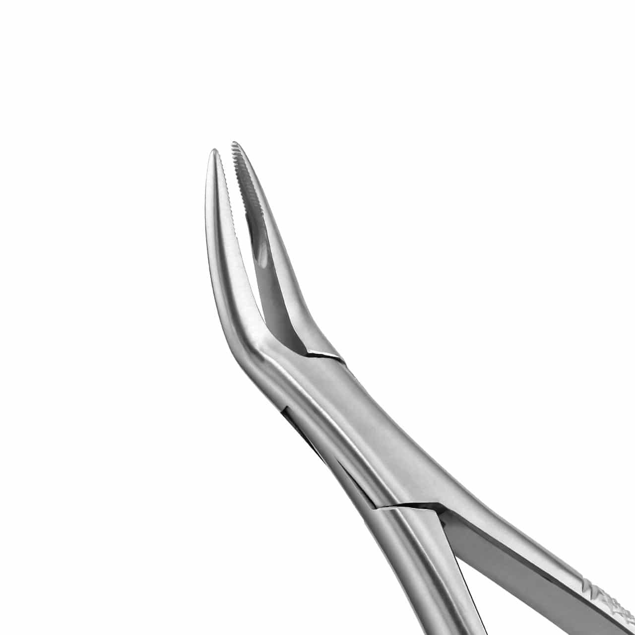 a pair of dental extraction forceps on a white background .