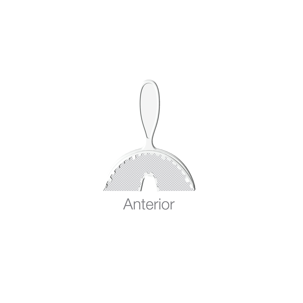 a silver object with the word anterior on the background