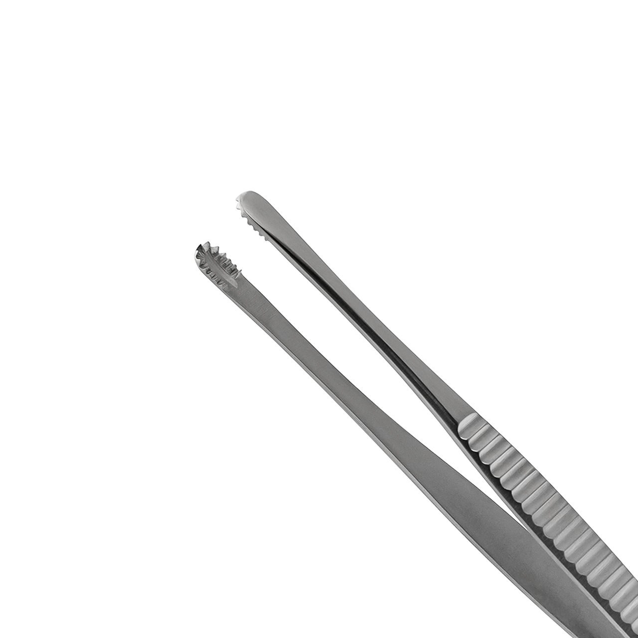 a pair of stainless steel tissue forceps on a white background.