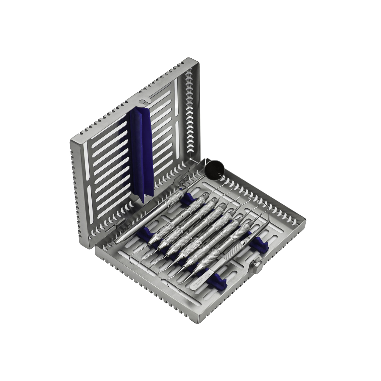 a stainless steel tray filled with dental instruments on a white background