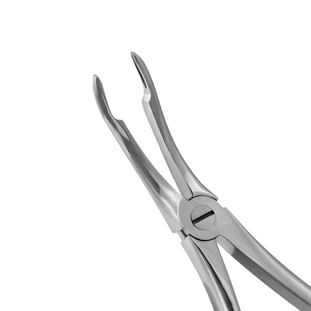 upper-root-tip-extraction-forceps-269-36-269-main
