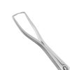 a close up of a dental tool on a white background