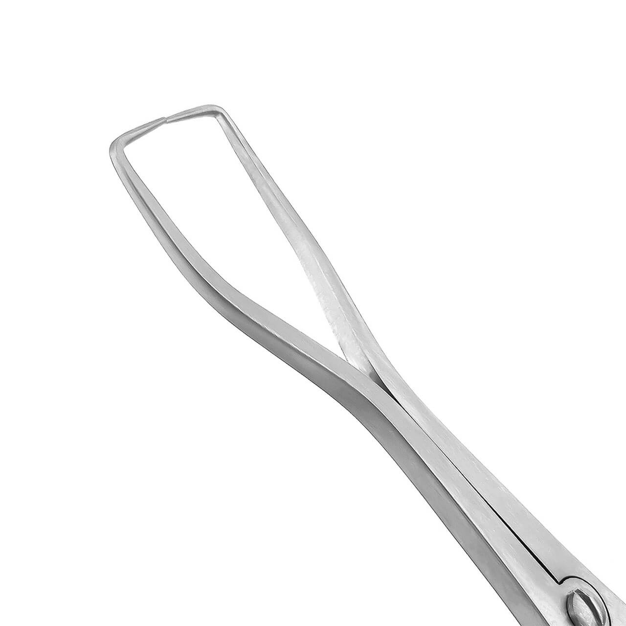 a close up of a dental tool on a white background