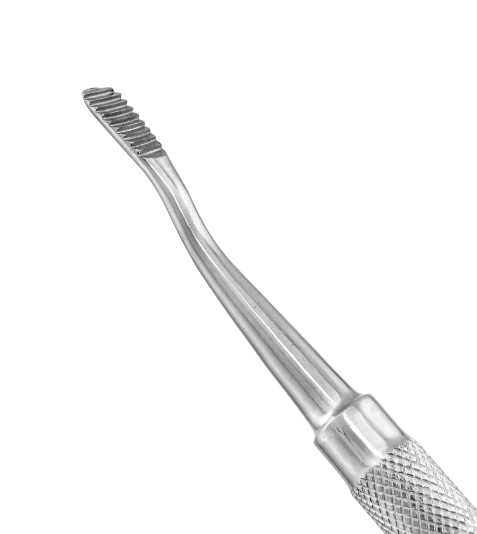 Bone-Files-Featued-nobg