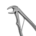 surgical-pediatric-extraction-forceps-lower-english-pattern-